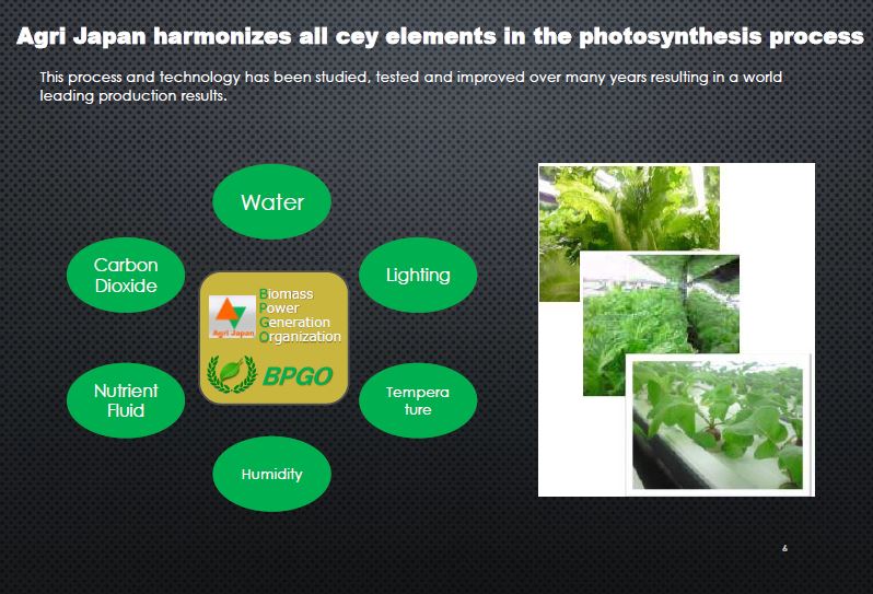 Agri Japan harmonizes all ceyelements in the photosynthesis process